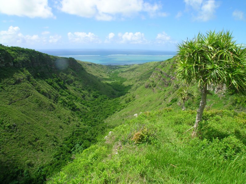 rodrigues-011.jpg