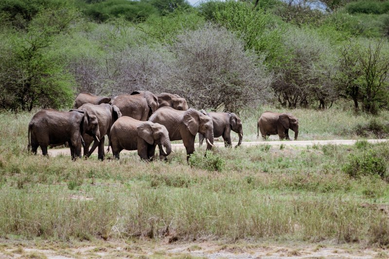 Maweninga Camp