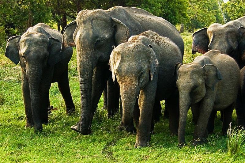sri-lanka-091.jpg