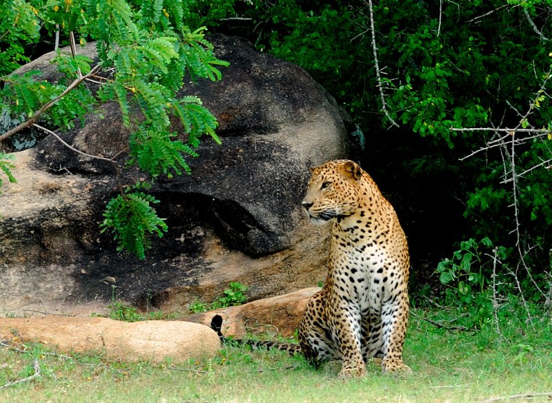 sri-lanka-122.jpg