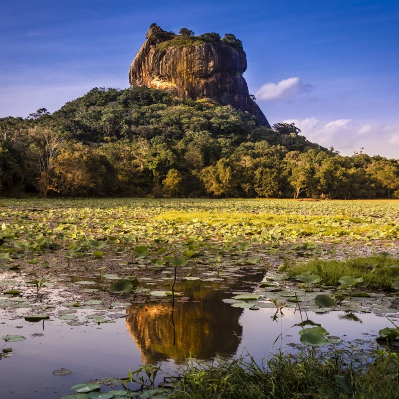 sri-lanka-novy-web-126.jpeg