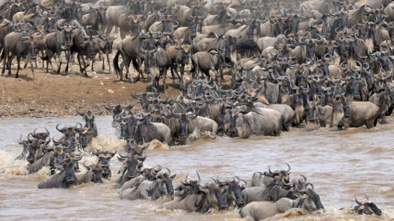 tanzanie-novy-web-153.jpg