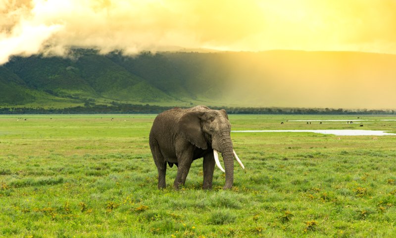 tanzanie-novy-web-195.jpg
