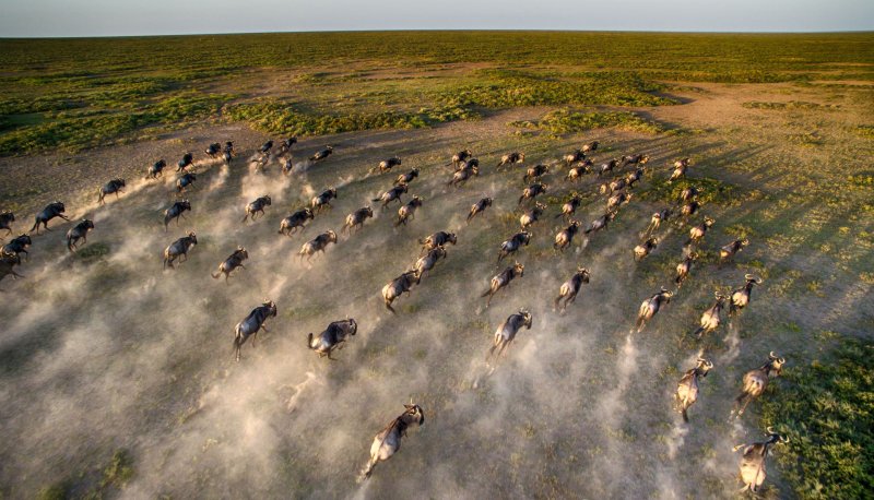 Serengeti andBeyond Under Canvas