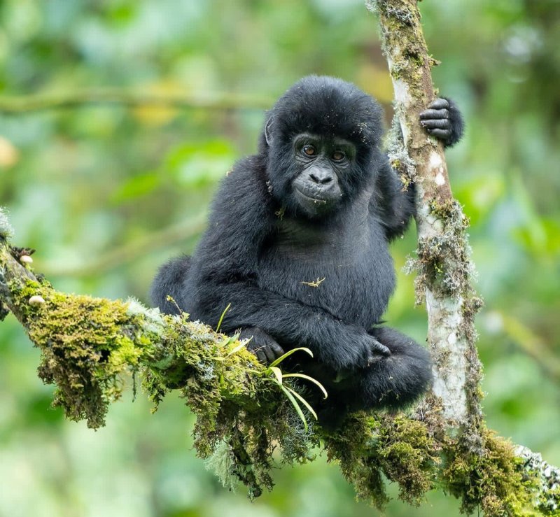 uganda-destinace-064.jpg