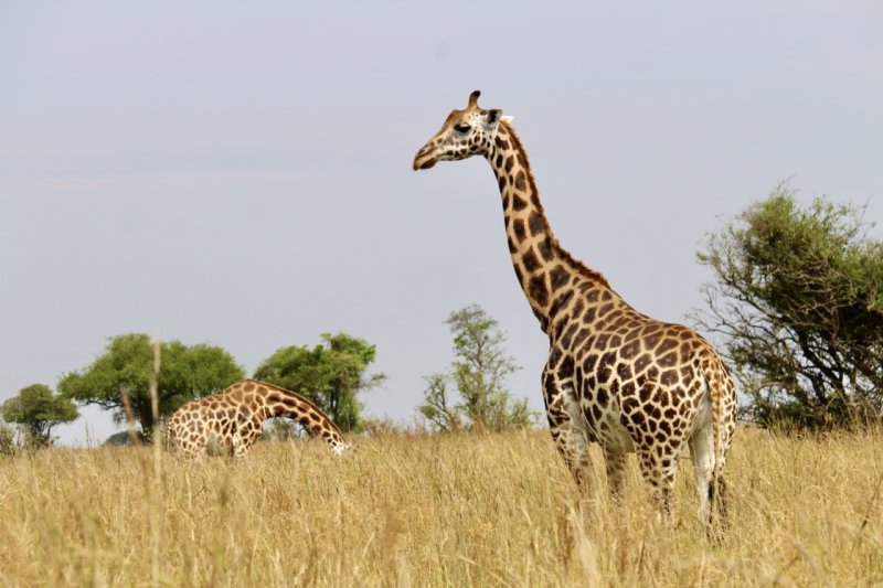 uganda-destinace-066.jpeg