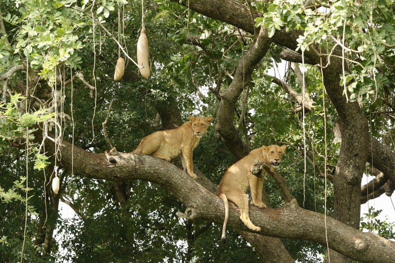 uganda-destinace-068.jpg