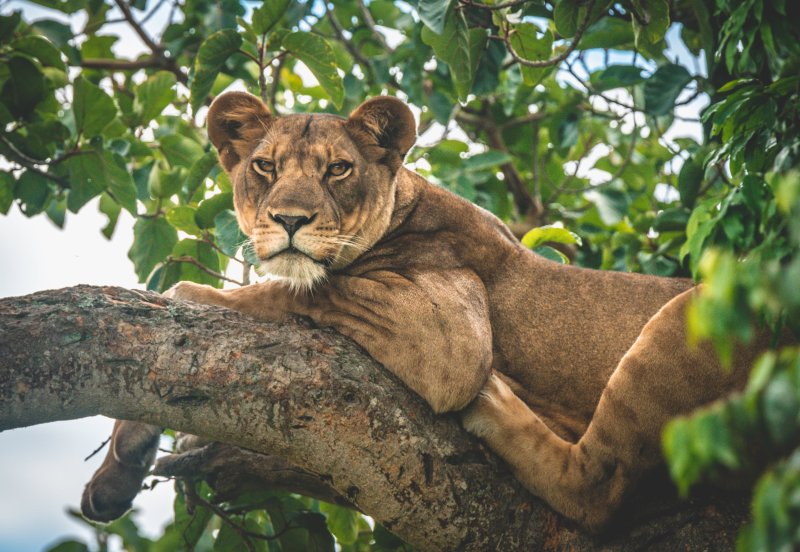 uganda-destinace-070.jpg