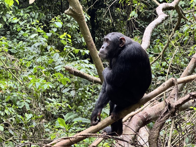 uganda-kena-tanzanie-007.jpg