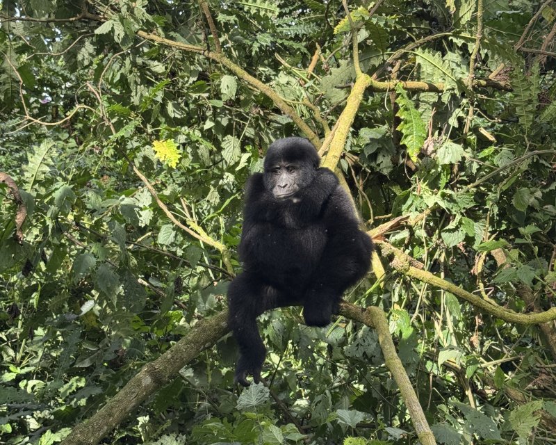 uganda-kena-tanzanie-012.jpg