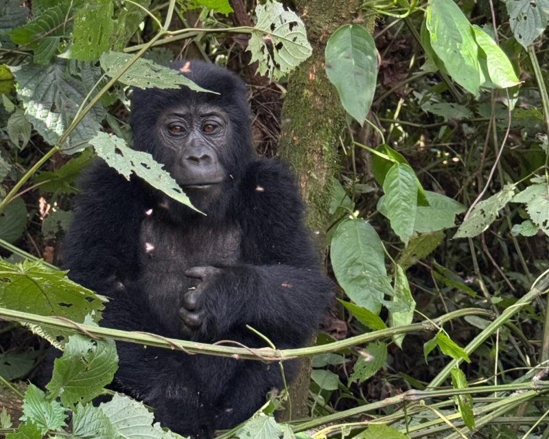 uganda-kena-tanzanie-021.jpg