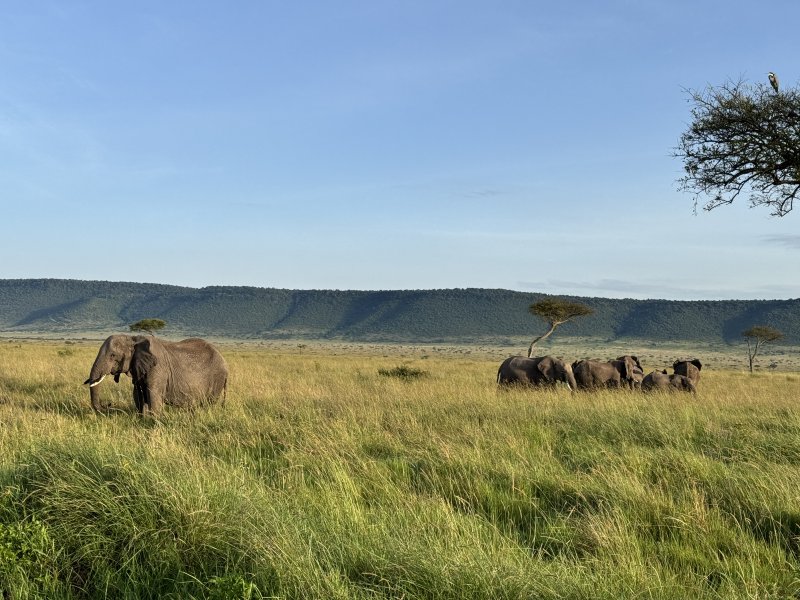 uganda-kena-tanzanie-026.jpg
