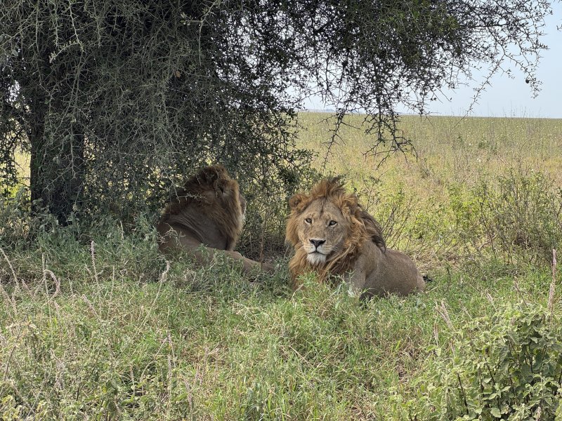 uganda-kena-tanzanie-031.jpg