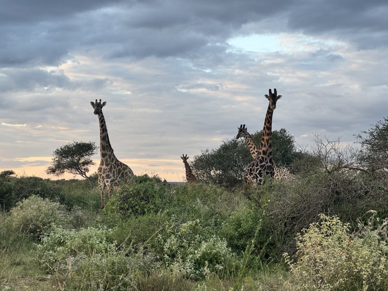 uganda-kena-tanzanie-035.jpg