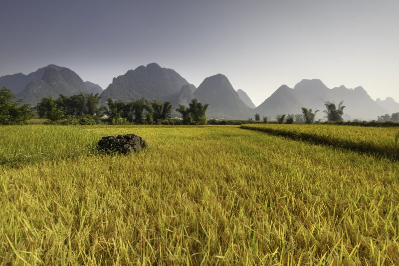 vietnam-novy-web-029.jpg