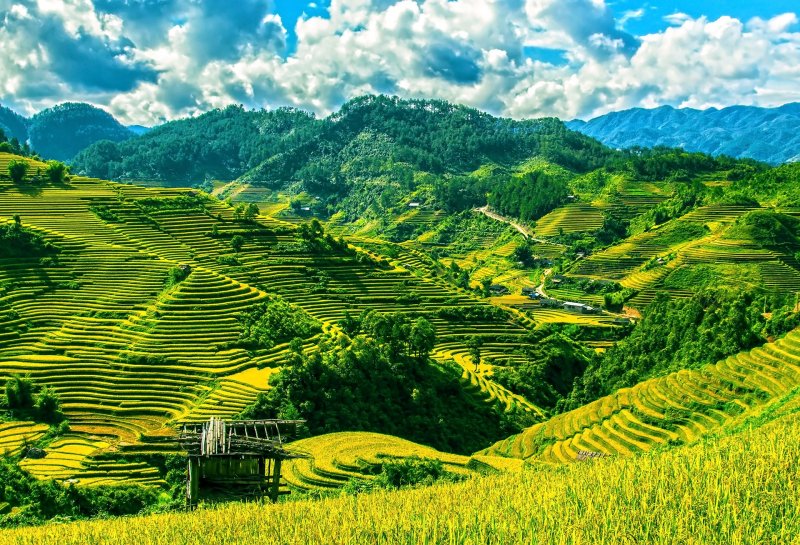 vietnam-novy-web-034.jpg