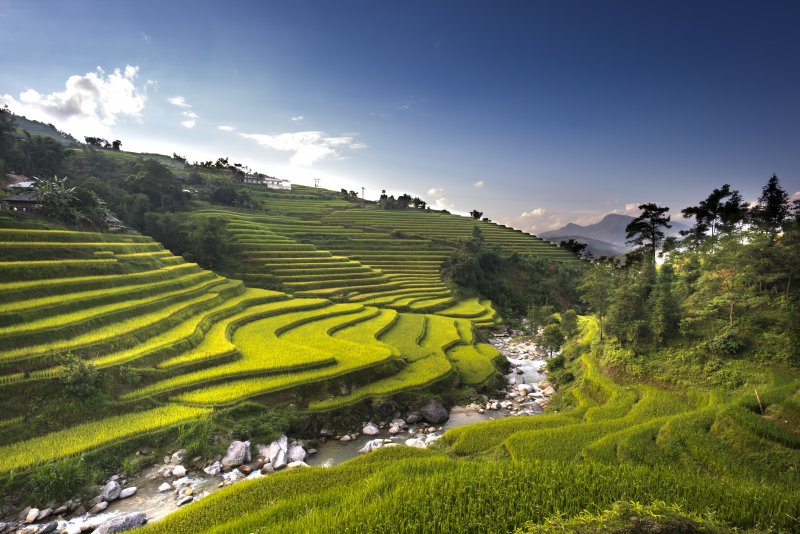 vietnam-novy-web-035.jpg