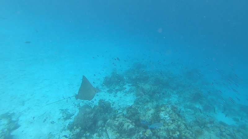 you-me-maldives-ondra-2019-052.jpg