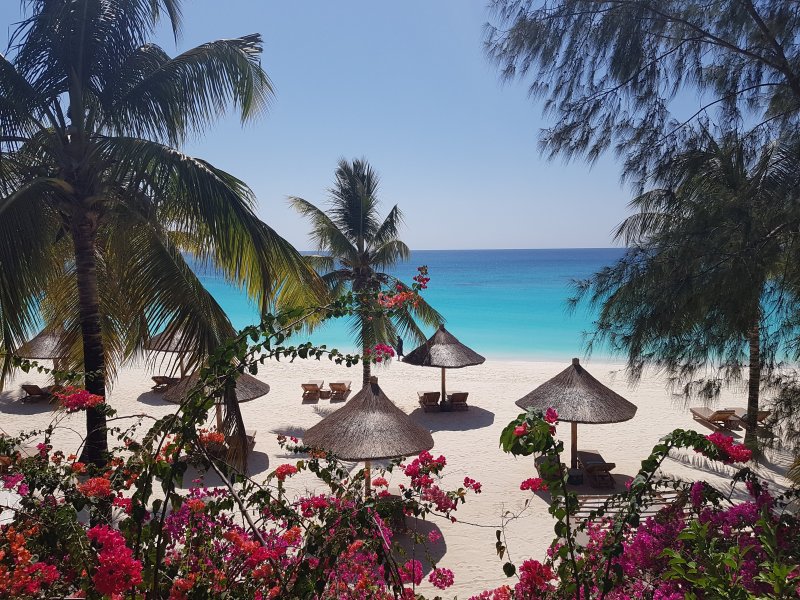zanzibar-2019-017.jpg