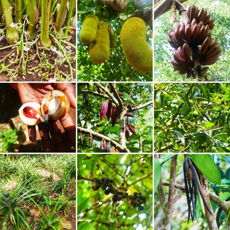 zanzibar-novy-web-029.jpeg