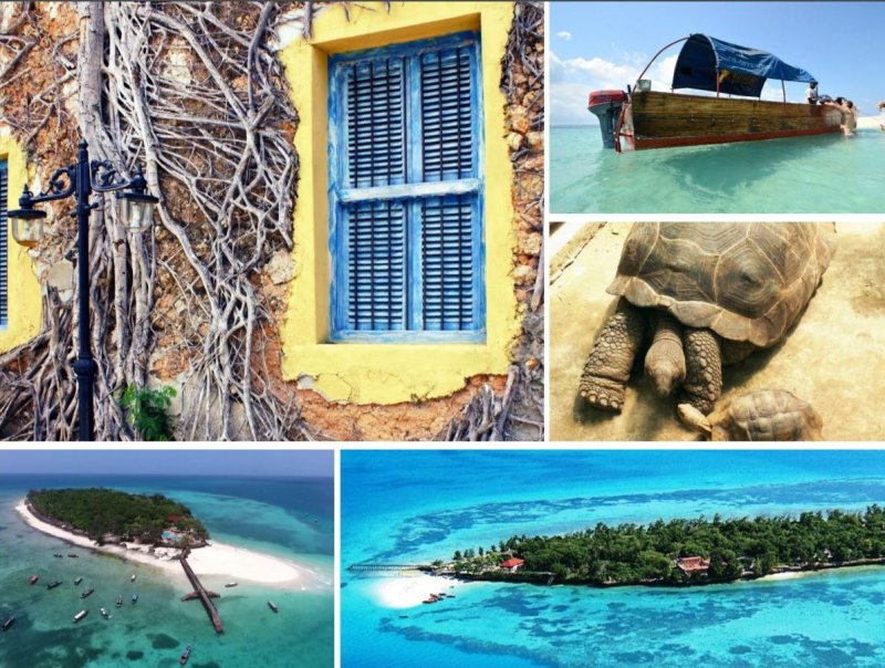 zanzibar-novy-web-034.jpg