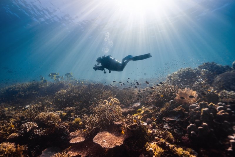 https://zenitudeconcierge.com/