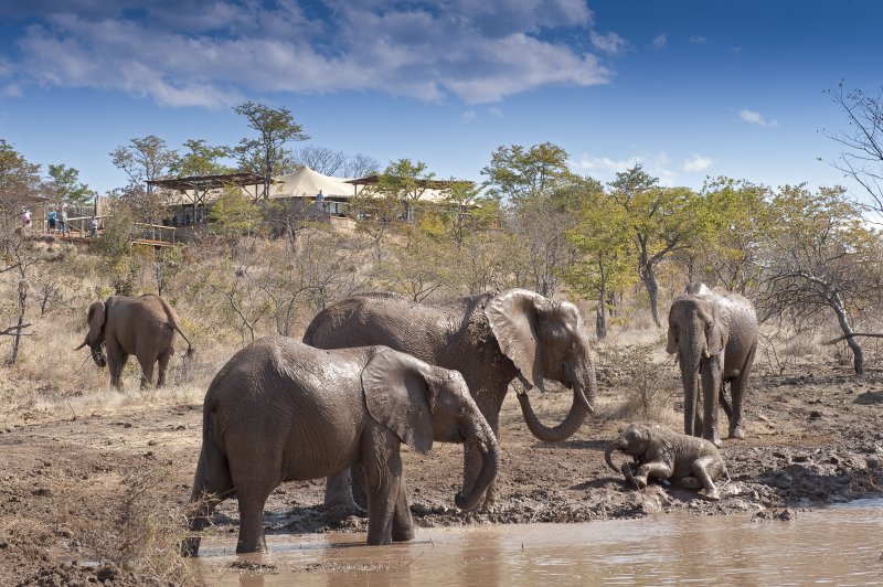 zimbabwe-novy-web-006.jpg