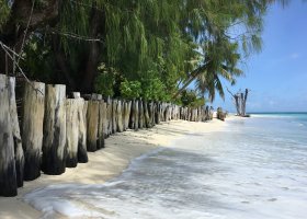 4-seychelske-ostrovy-v-juli-2016-024.jpg