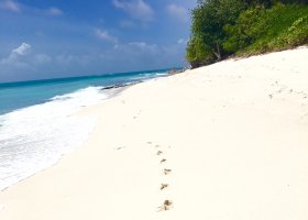 4-seychelske-ostrovy-v-juli-2016-027.jpg