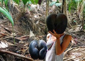 4-seychelske-ostrovy-v-juli-2016-035.jpg