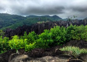 4-seychelske-ostrovy-v-juli-2016-054.jpg