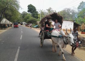 inspekcni-cesta-sri-lanka-ondrej-035.jpg