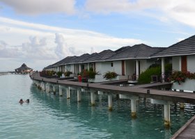 iveta-mle2015-046.jpg