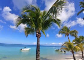 mauricius-november-december-2018-134.jpg